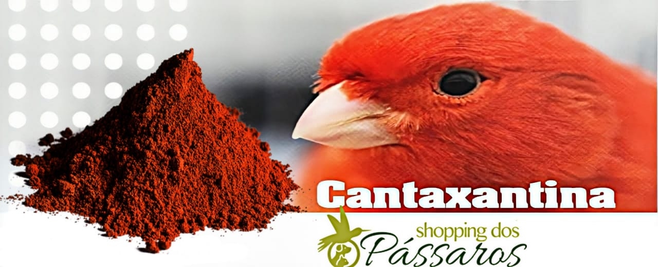 Cuidados com pigmento (Cantaxantina)